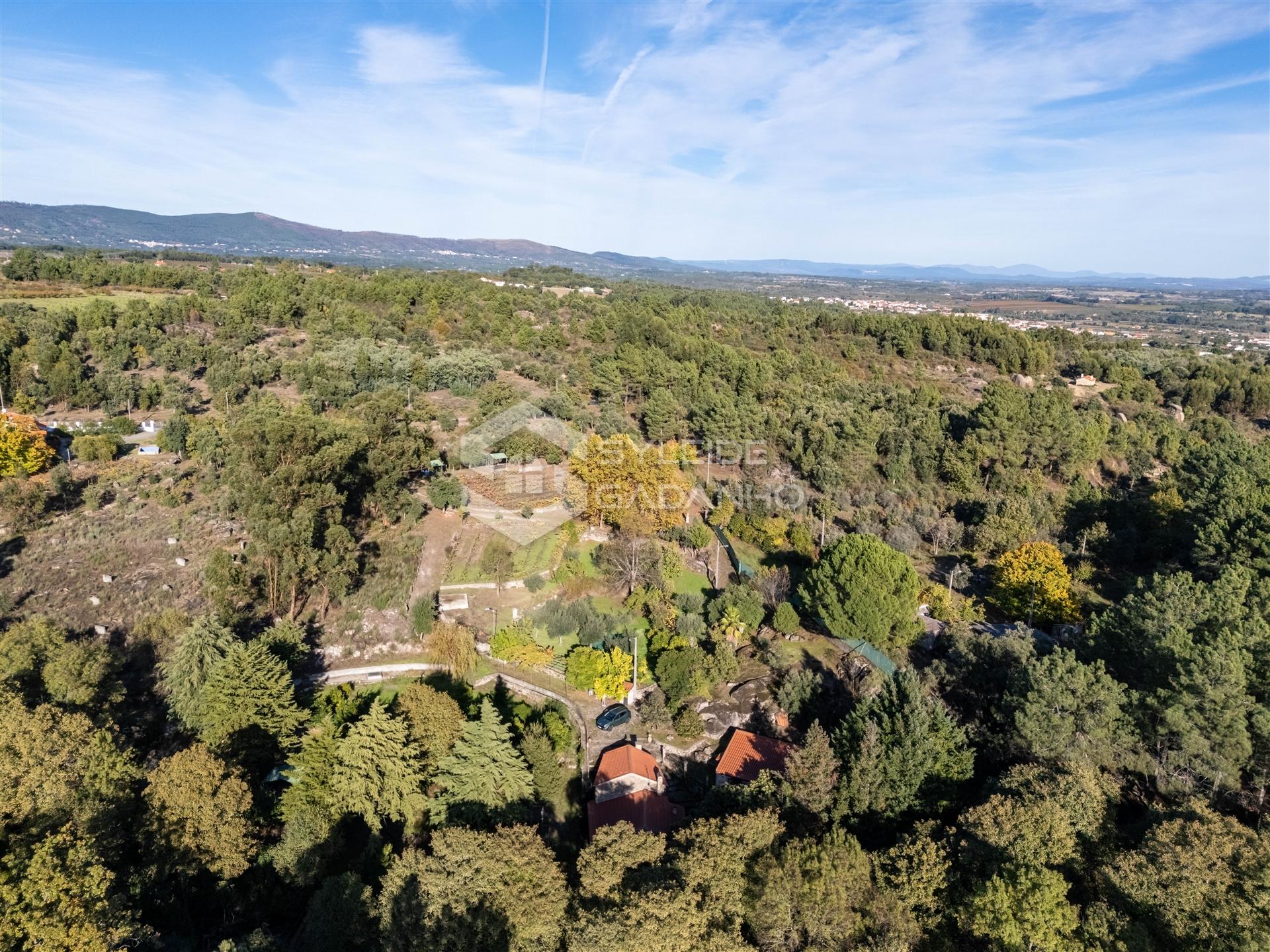 Quinta T3 Venda em Castelo Novo,Fundão