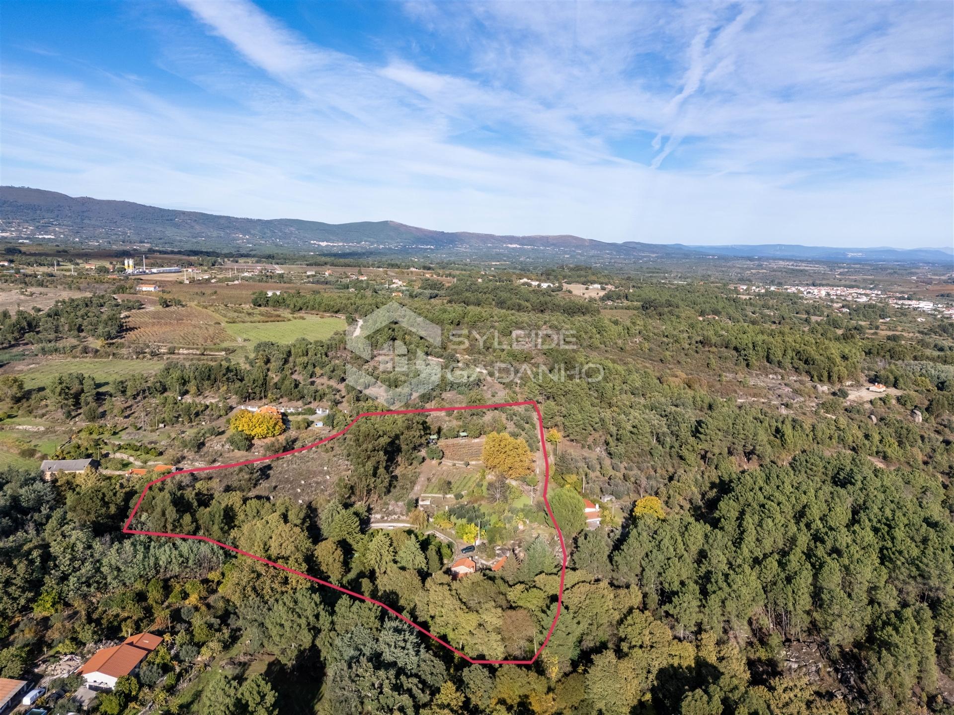 Quinta T3 Venda em Castelo Novo,Fundão