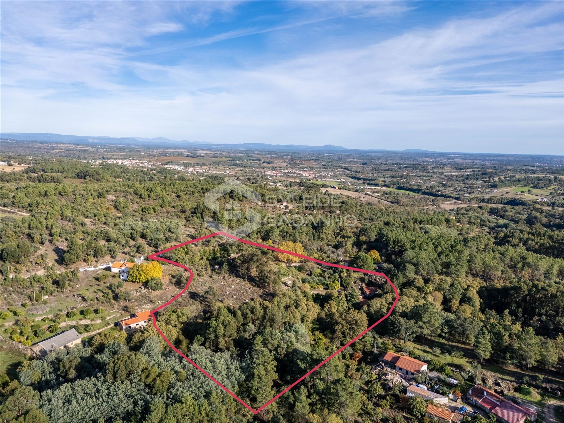 Quinta T3 Venda em Castelo Novo,Fundão