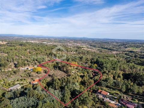 Quinta T3 Venda em Castelo Novo,Fundão