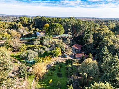 Quinta T3 Venda em Castelo Novo,Fundão