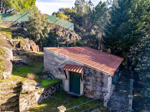 Quinta T3 Venda em Castelo Novo,Fundão