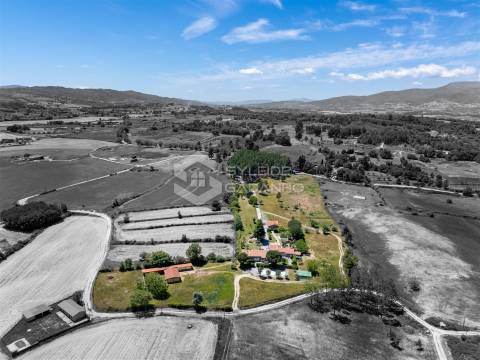 Quinta T8 Venda em Caria,Belmonte