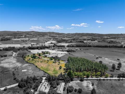 Quinta T8 Venda em Caria,Belmonte