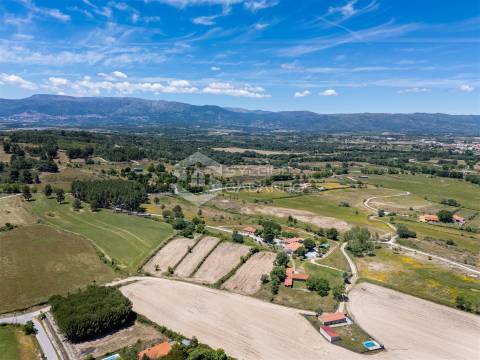 Quinta T8 Venda em Caria,Belmonte
