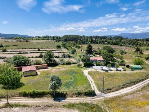 Quinta T8 Venda em Caria,Belmonte