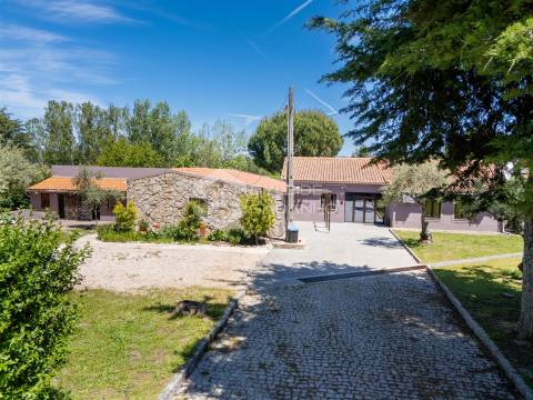 Quinta T8 Venda em Caria,Belmonte