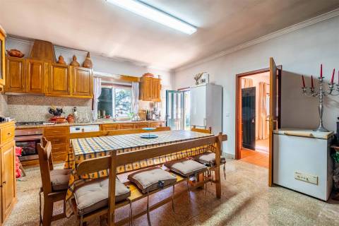 Casa Rústica T2 com Grande Terreno