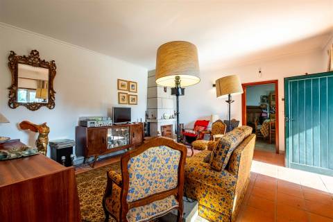 Casa Rústica T2 com Grande Terreno