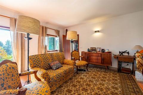 Casa Rústica T2 com Grande Terreno