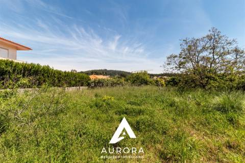 Terreno  Venda em Nogueira da Regedoura,Santa Maria da Feira