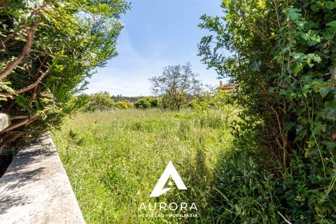 Terreno  Venda em Nogueira da Regedoura,Santa Maria da Feira