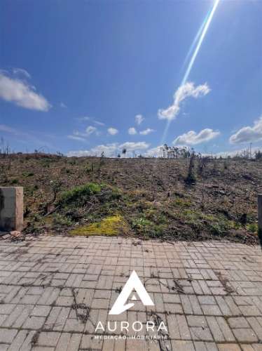 Lote de Terreno  Venda em Valongo do Vouga,Águeda