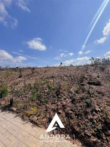 Lote de Terreno  Venda em Valongo do Vouga,Águeda