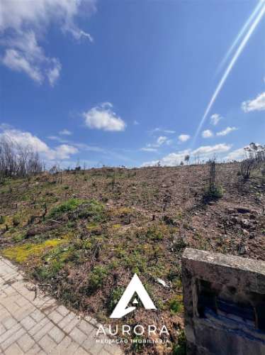 Lote de Terreno  Venda em Valongo do Vouga,Águeda