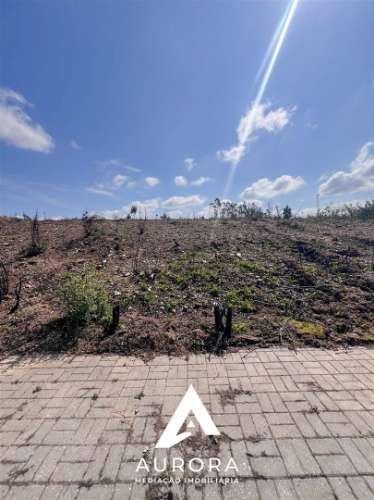 Lote de Terreno  Venda em Valongo do Vouga,Águeda