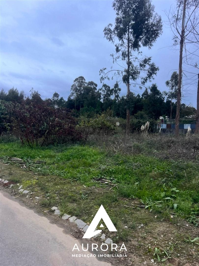Terreno  Venda em Grijó e Sermonde,Vila Nova de Gaia