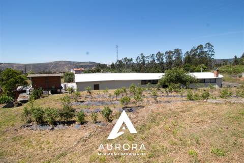 Quinta de Produção de Mirtilos com Infraestruturas Habitacionais e Agroindustriais
