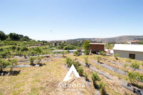 Quinta de Produção de Mirtilos com Infraestruturas Habitacionais e Agroindustriais