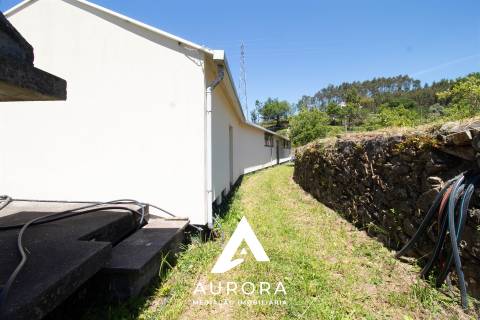Quinta de Produção de Mirtilos com Infraestruturas Habitacionais e Agroindustriais