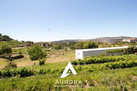 Quinta de Produção de Mirtilos com Infraestruturas Habitacionais e Agroindustriais