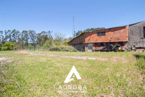 Quinta de Produção de Mirtilos com Infraestruturas Habitacionais e Agroindustriais