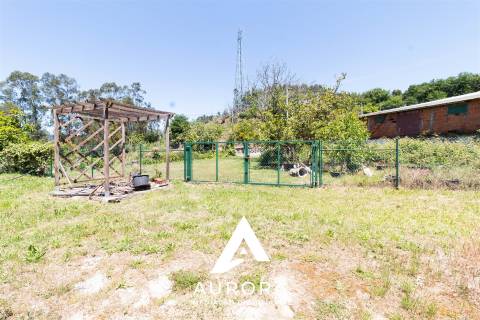 Quinta de Produção de Mirtilos com Infraestruturas Habitacionais e Agroindustriais