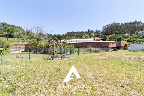 Quinta de Produção de Mirtilos com Infraestruturas Habitacionais e Agroindustriais