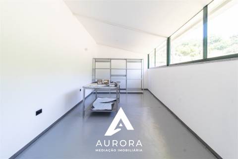 Quinta de Produção de Mirtilos com Infraestruturas Habitacionais e Agroindustriais