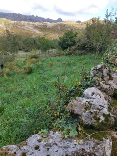 Moradia para restauro em Castro Laboreiro, Viana do Castelo