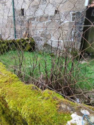 Moradia para restauro em Castro Laboreiro, Viana do Castelo