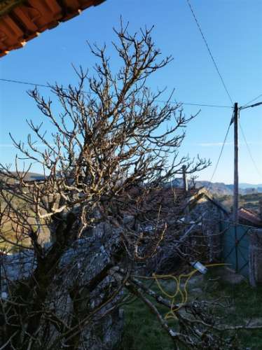 Moradia para restauro em Castro Laboreiro, Viana do Castelo