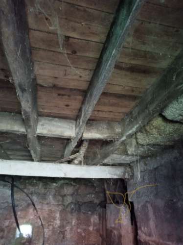 Moradia para restauro em Castro Laboreiro, Viana do Castelo