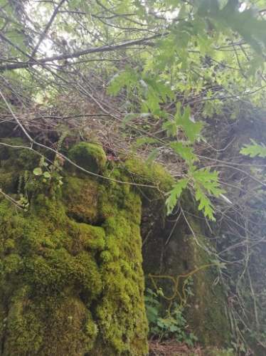 Moradia para restauro em Castro Laboreiro, Viana do Castelo