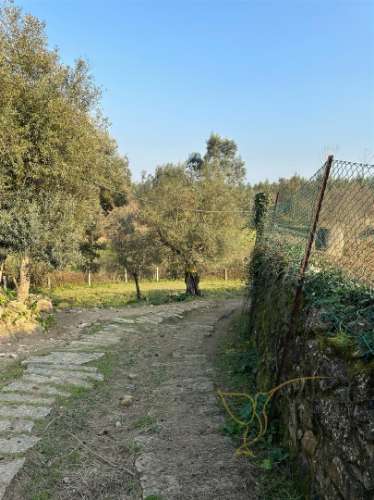 Moradia para restaurar Monção