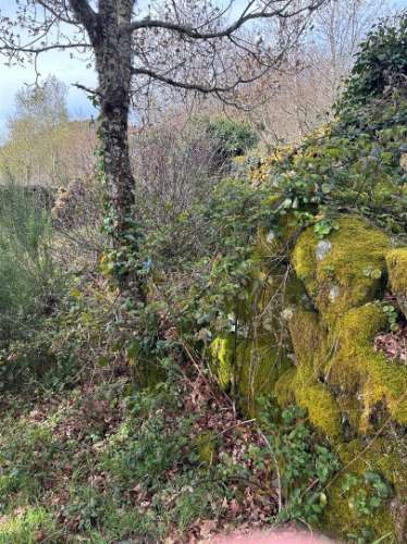 Moradia para restauro em Castro Laboreiro, Viana do Castelo