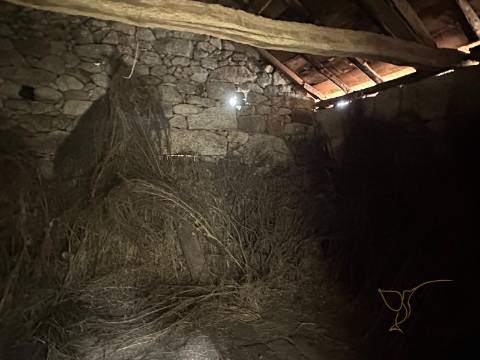 Moradia para restauro em Castro Laboreiro, Viana do Castelo