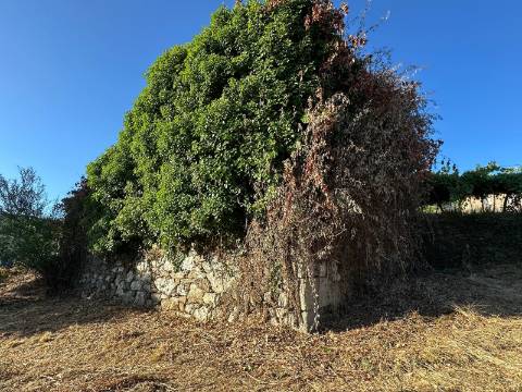 Moradia Pedra; Riba Mouro; Monção; Rio; ImoFaçanha