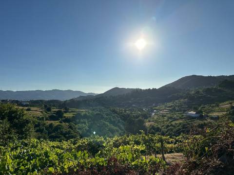 Moradia Pedra; Riba Mouro; Monção; Rio; ImoFaçanha