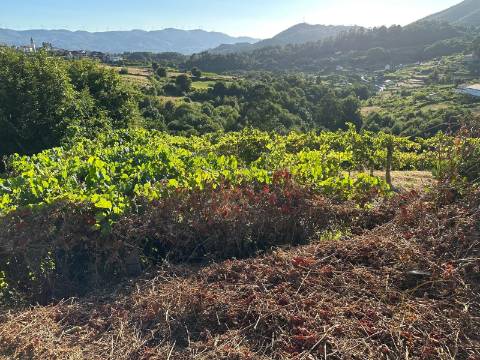 Moradia Pedra; Riba Mouro; Monção; Rio; ImoFaçanha