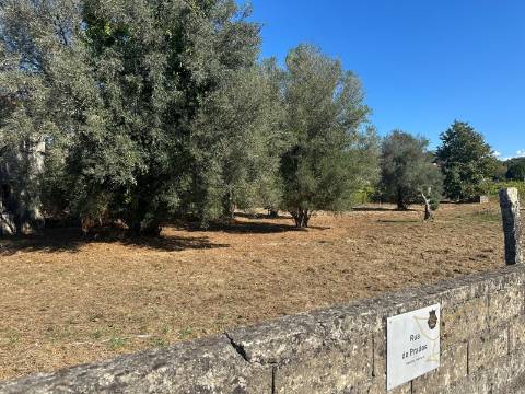 Casa para Restauro na Rua de Prados em Moreira, Monção, com Terreno e Potencial de Construção