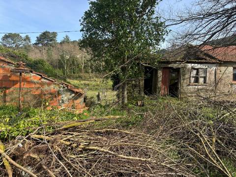 Conjunto de Três Casas com Projeto, localizadas em Alvaredo, no concelho de Melgaço