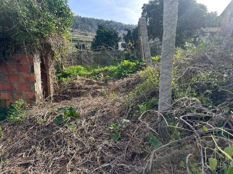 Conjunto de Três Casas com Projeto, localizadas em Alvaredo, no concelho de Melgaço