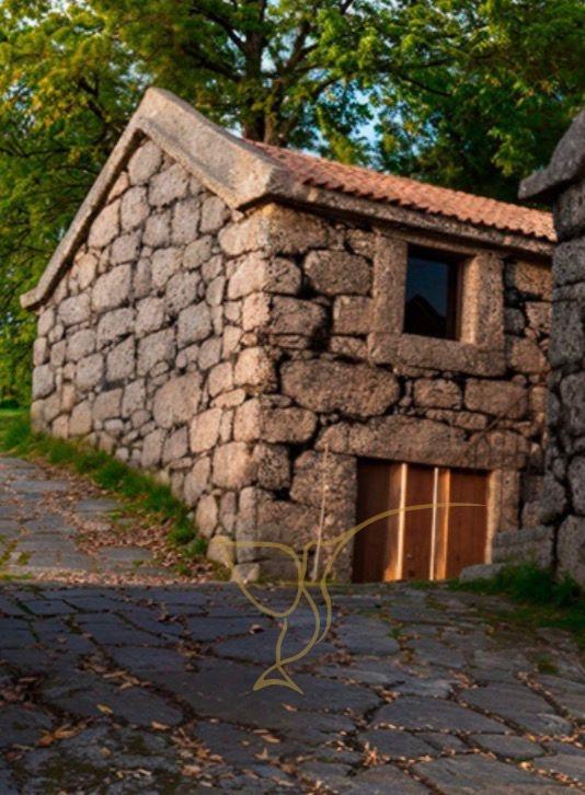 Oportunidade Única Investimento Turismo Rural, Moradia com Projeto| Varziela,