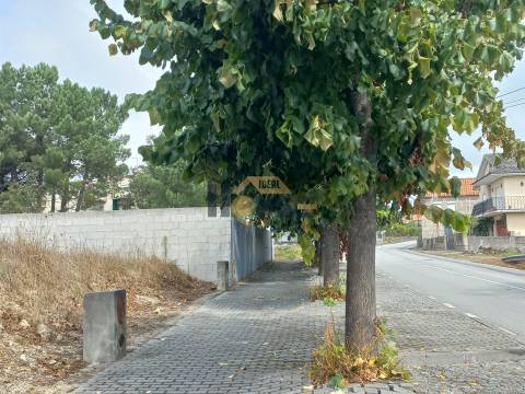 Terreno Para Construção  Venda em Salvador do Monte,Amarante