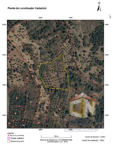 Terreno Agrícola com Olival na freguesia da Mata