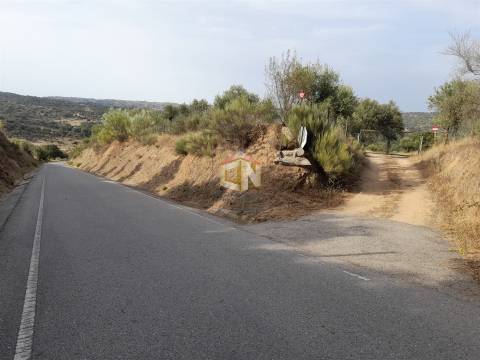 Terreno Agrícola com Olival na freguesia da Mata