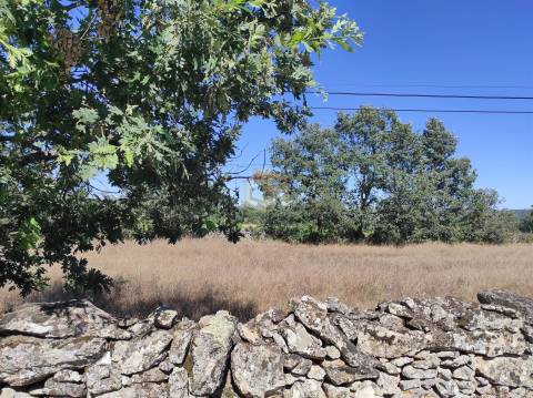 Terreno para construção em aldeia do concelho de Sabugal
