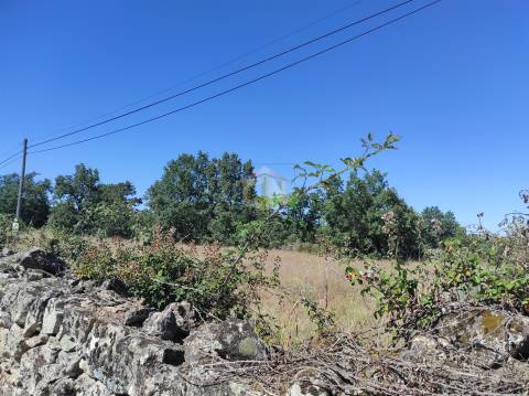 Terreno para construção em aldeia do concelho de Sabugal