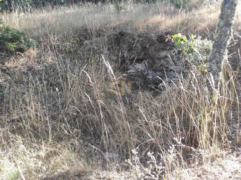 Terreno Agrícola situado na freguesia de Vale de Mourisco